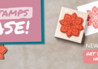 Two Free Stamps in Stampin' Up!'s Starter Kit |Ann's PaperWorks| Ann Lewis| Stampin' Up! (Aus) online store 24/7