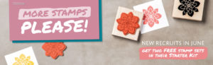 Two Free Stamps in Stampin' Up!'s Starter Kit |Ann's PaperWorks| Ann Lewis| Stampin' Up! (Aus) online store 24/7