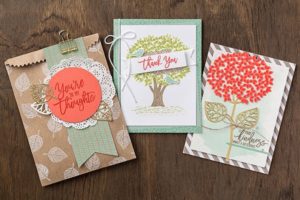 Thoughtful Branches Bundle Limited Edition Ann's PaperWorks| Ann Lewis| Stampin' Up! (Aus) online store 24/7
