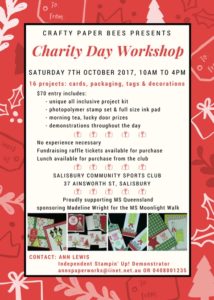 Crafty Paper Bees Christmas Charity Cardmaking Workshop, Ann's PaperWorks, Ann Lewis, stampin up, brisbane card making,