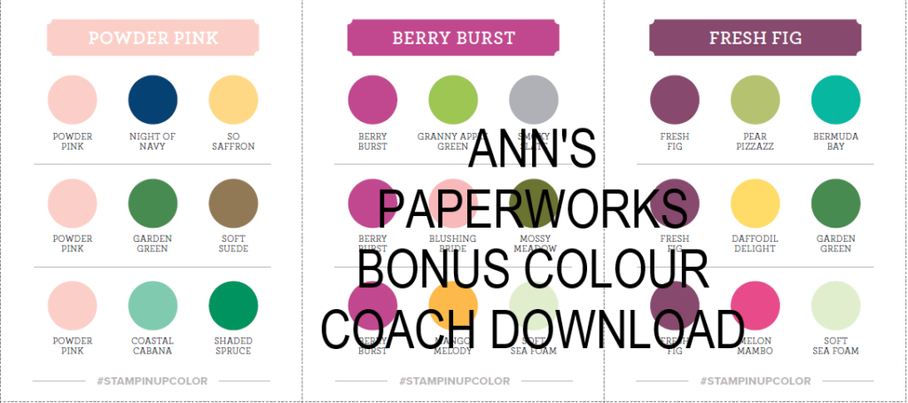 Stampin' Up! Colour Coach Bonus Download, Ann's PaperWorks