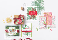 christmas card class, stamp-a-stack, handmade christmas cards, christmas cards, sunshine coast, ann lewis, annspaperworks, stampin up, Stampin' Up!, online store, online shop